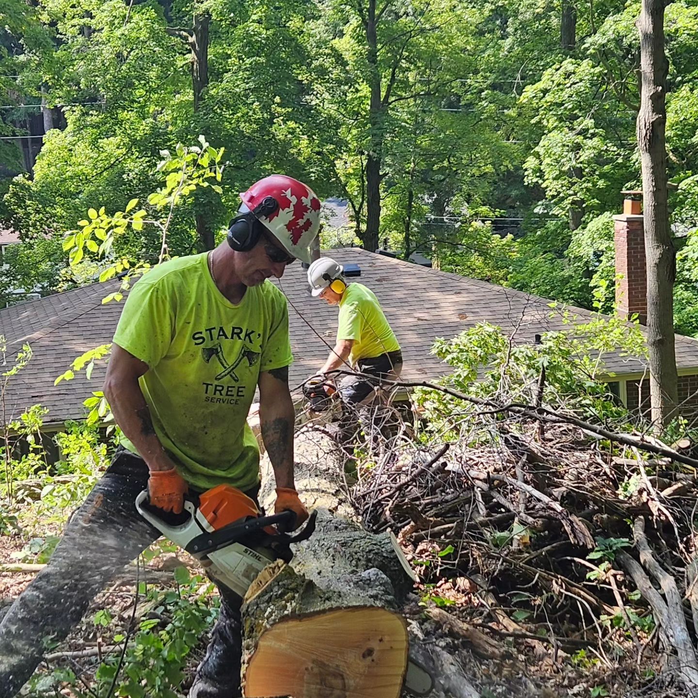 Employees working on some trees