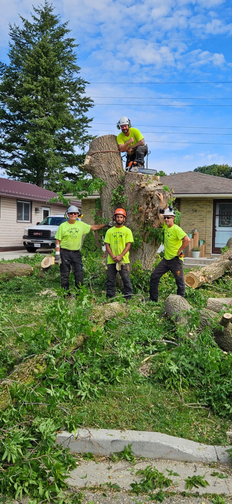 Stark's Tree Removal founder and workers at a recent job.